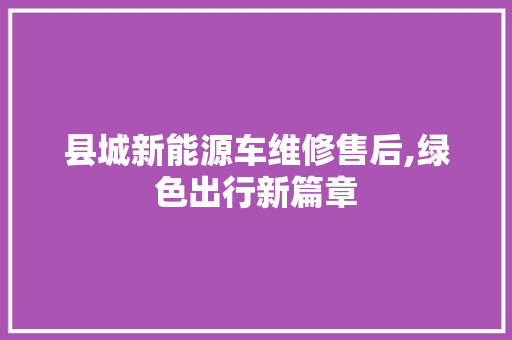 县城新能源车维修售后,绿色出行新篇章