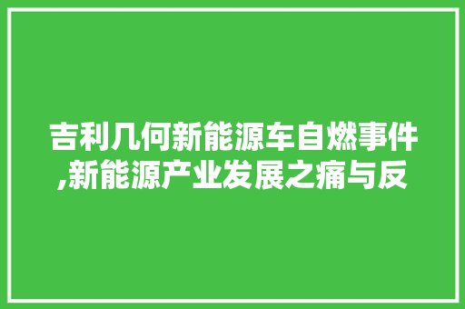 吉利几何新能源车自燃事件,新能源产业发展之痛与反思