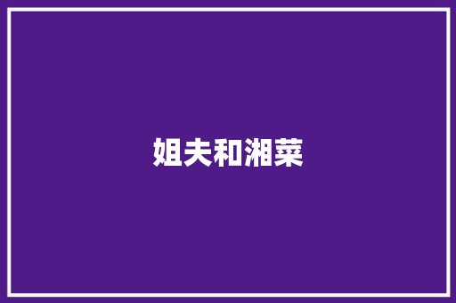 姐夫和湘菜