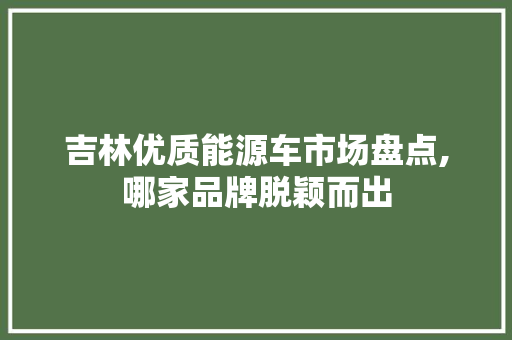 吉林优质能源车市场盘点,哪家品牌脱颖而出