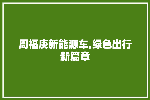 周福庚新能源车,绿色出行新篇章