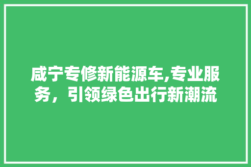 咸宁专修新能源车,专业服务，引领绿色出行新潮流
