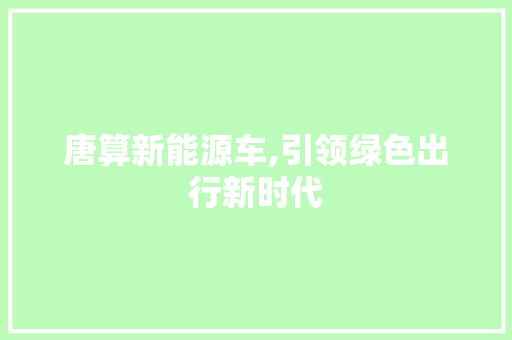 唐算新能源车,引领绿色出行新时代