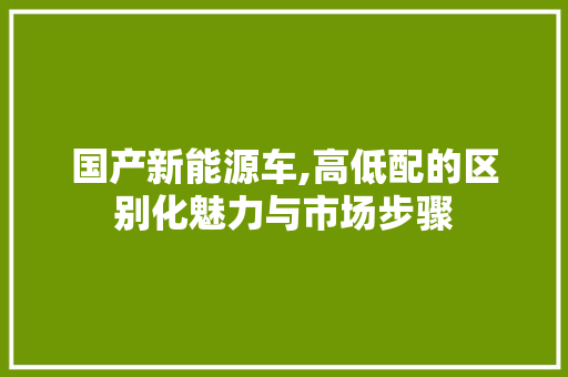 国产新能源车,高低配的区别化魅力与市场步骤 汽车常识