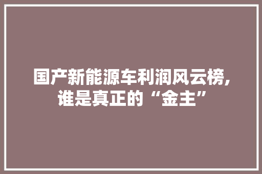 国产新能源车利润风云榜,谁是真正的“金主”