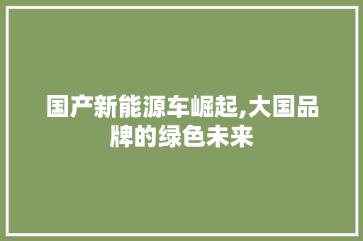 国产新能源车崛起,大国品牌的绿色未来
