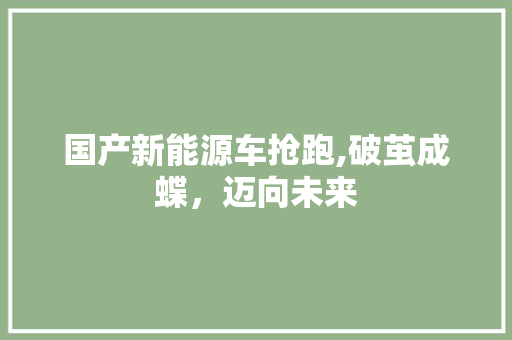 国产新能源车抢跑,破茧成蝶，迈向未来