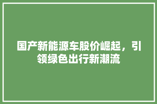 国产新能源车股价崛起，引领绿色出行新潮流