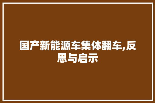 国产新能源车集体翻车,反思与启示