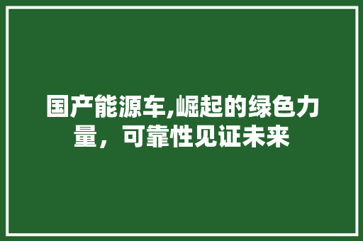 国产能源车,崛起的绿色力量，可靠性见证未来 汽车常识