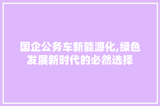 国企公务车新能源化,绿色发展新时代的必然选择