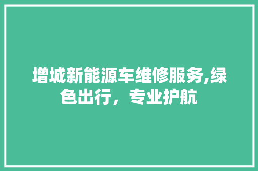 增城新能源车维修服务,绿色出行，专业护航