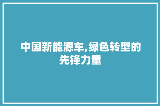 中国新能源车,绿色转型的先锋力量 汽车常识