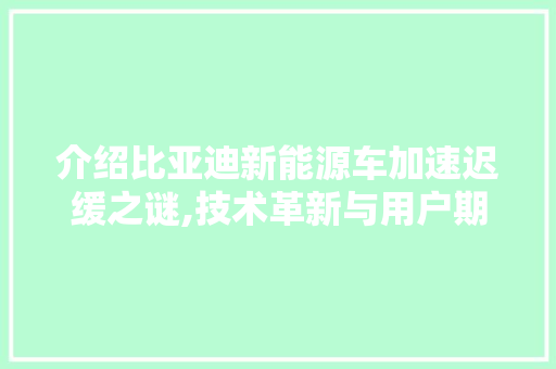 介绍比亚迪新能源车加速迟缓之谜,技术革新与用户期待的平衡 汽车常识