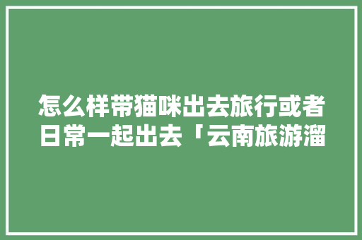 怎么样带猫咪出去旅行或者日常一起出去「云南旅游溜溜猫攻略大全图片」 怎么样带猫咪出去旅行或者日常一起出去「云南旅游溜溜猫攻略大全图片」 汽车常识
