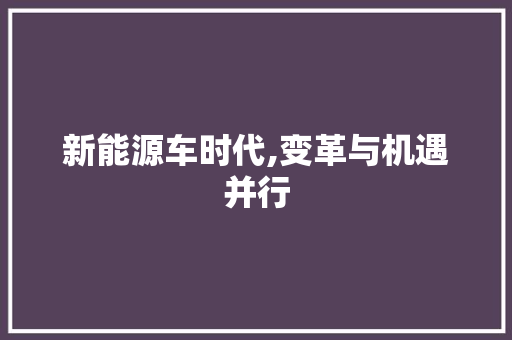 新能源车时代,变革与机遇并行 旅游攻略