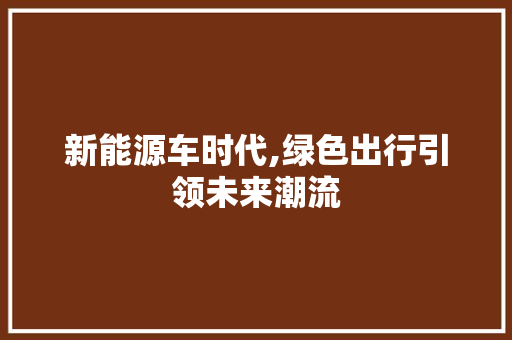 新能源车时代,绿色出行引领未来潮流 旅游攻略