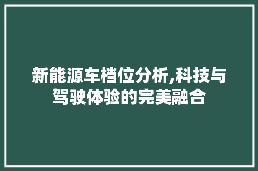 新能源车档位分析,科技与驾驶体验的完美融合