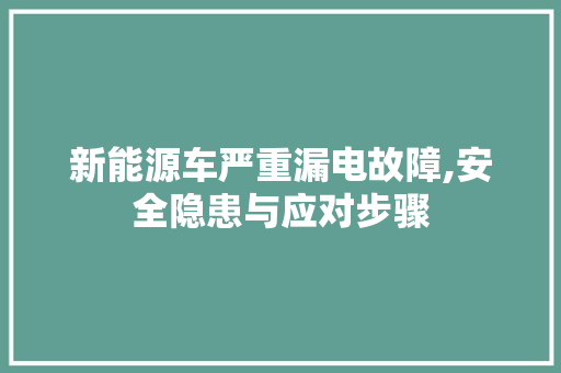 新能源车严重漏电故障,安全隐患与应对步骤 汽车常识