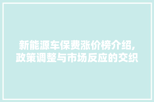 新能源车保费涨价榜介绍,政策调整与市场反应的交织 汽车常识