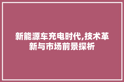 新能源车充电时代,技术革新与市场前景探析