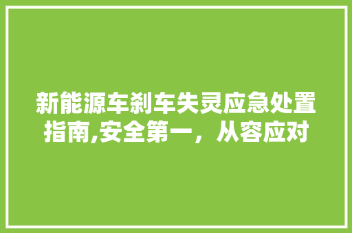 新能源车刹车失灵应急处置指南,安全第一，从容应对