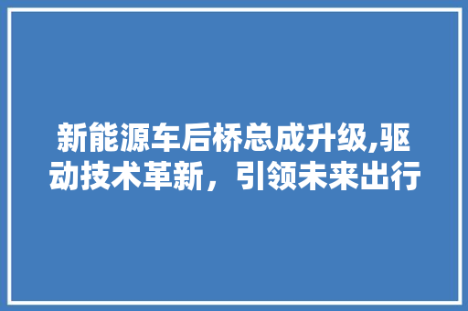 新能源车后桥总成升级,驱动技术革新，引领未来出行