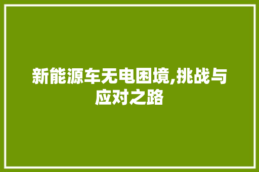 新能源车无电困境,挑战与应对之路