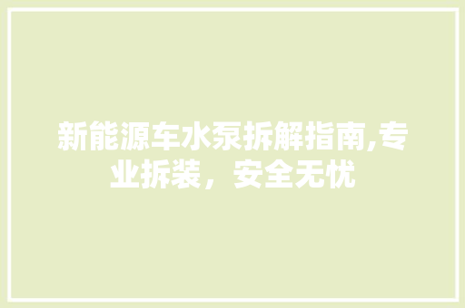 新能源车水泵拆解指南,专业拆装，安全无忧
