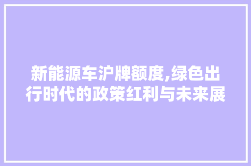 新能源车沪牌额度,绿色出行时代的政策红利与未来展望