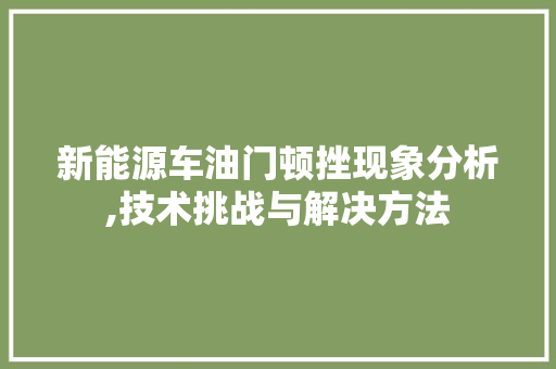 新能源车油门顿挫现象分析,技术挑战与解决方法