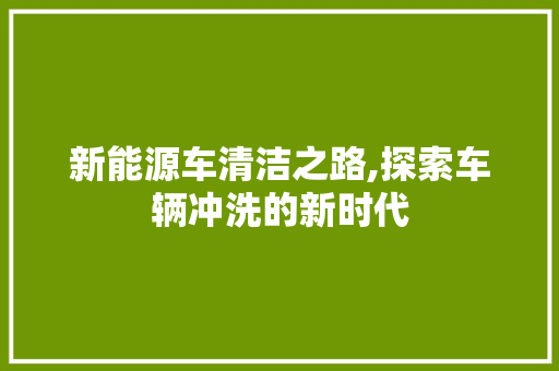 新能源车清洁之路,探索车辆冲洗的新时代