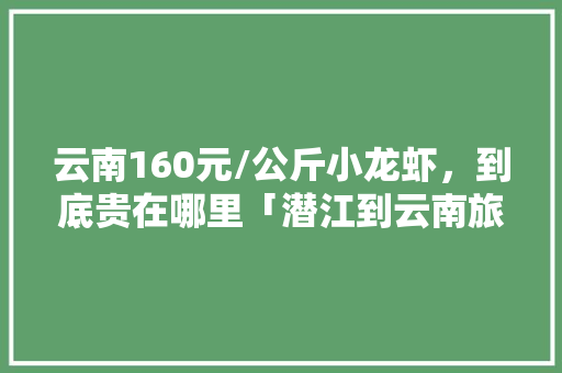 云南160元/公斤小龙虾，到底贵在哪里「潜江到云南旅游」 云南160元/公斤小龙虾，到底贵在哪里「潜江到云南旅游」 旅游攻略