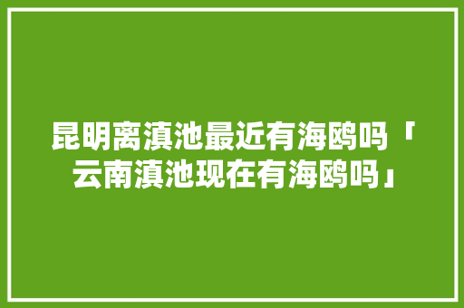 昆明离滇池最近有海鸥吗「云南滇池现在有海鸥吗」 昆明离滇池最近有海鸥吗「云南滇池现在有海鸥吗」 教育法律