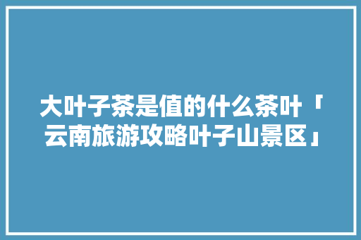 大叶子茶是值的什么茶叶「云南旅游攻略叶子山景区」 大叶子茶是值的什么茶叶「云南旅游攻略叶子山景区」 时尚穿搭