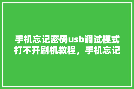 手机忘记密码usb调试模式打不开刷机教程，手机忘记密码usb调试模式打不开刷机教程怎么办。 手机忘记密码usb调试模式打不开刷机教程，手机忘记密码usb调试模式打不开刷机教程怎么办。 手机电脑
