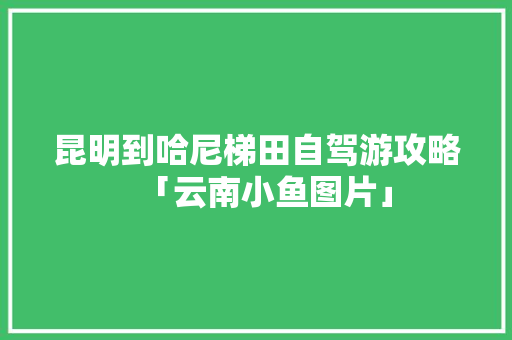 昆明到哈尼梯田自驾游攻略「云南小鱼图片」 昆明到哈尼梯田自驾游攻略「云南小鱼图片」 教育法律
