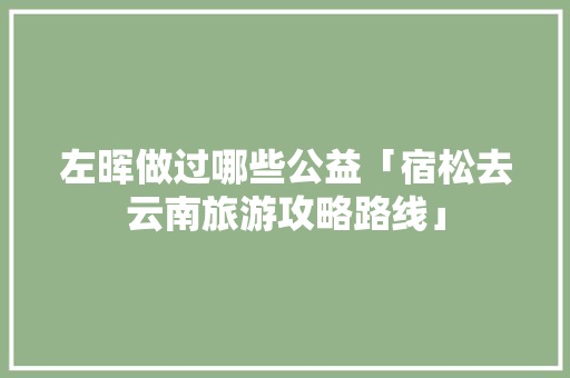 左晖做过哪些公益「宿松去云南旅游攻略路线」 左晖做过哪些公益「宿松去云南旅游攻略路线」 手机电脑