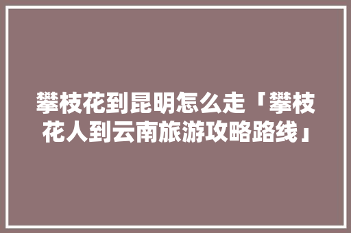 攀枝花到昆明怎么走「攀枝花人到云南旅游攻略路线」 攀枝花到昆明怎么走「攀枝花人到云南旅游攻略路线」 时尚穿搭