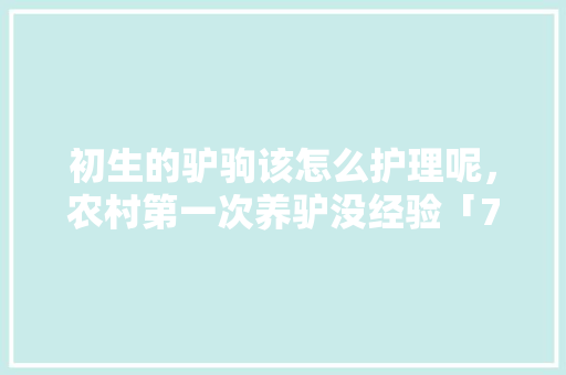 初生的驴驹该怎么护理呢，农村第一次养驴没经验「7月云南旅游线路」 初生的驴驹该怎么护理呢，农村第一次养驴没经验「7月云南旅游线路」 健康母婴