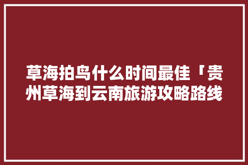 草海拍鸟什么时间最佳「贵州草海到云南旅游攻略路线」 草海拍鸟什么时间最佳「贵州草海到云南旅游攻略路线」 美食菜谱