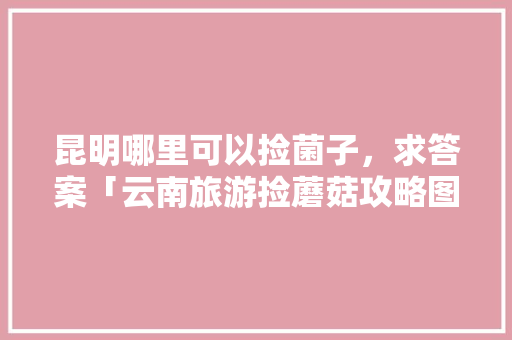 昆明哪里可以捡菌子，求答案「云南旅游捡蘑菇攻略图片大全」 昆明哪里可以捡菌子，求答案「云南旅游捡蘑菇攻略图片大全」 教育法律