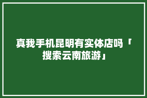 真我手机昆明有实体店吗「搜索云南旅游」 真我手机昆明有实体店吗「搜索云南旅游」 手机电脑