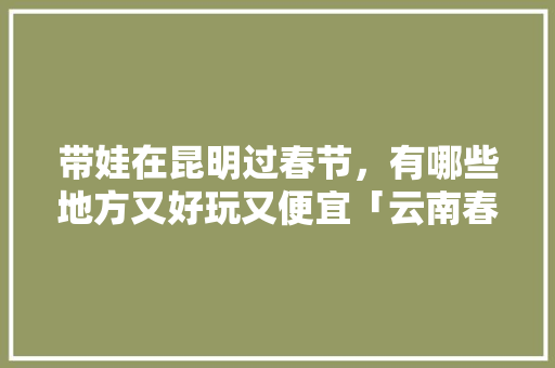 带娃在昆明过春节，有哪些地方又好玩又便宜「云南春节旅游最佳路线」 带娃在昆明过春节，有哪些地方又好玩又便宜「云南春节旅游最佳路线」 汽车常识