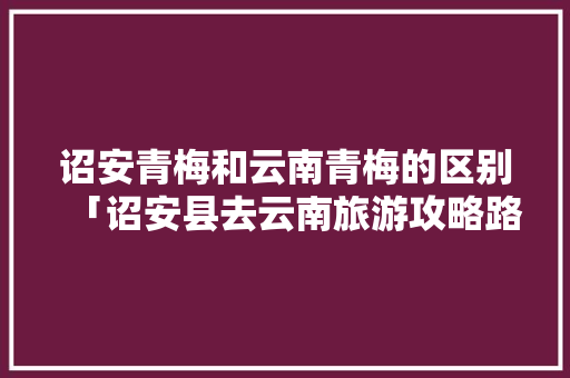 诏安青梅和云南青梅的区别「诏安县去云南旅游攻略路线」 诏安青梅和云南青梅的区别「诏安县去云南旅游攻略路线」 美食菜谱