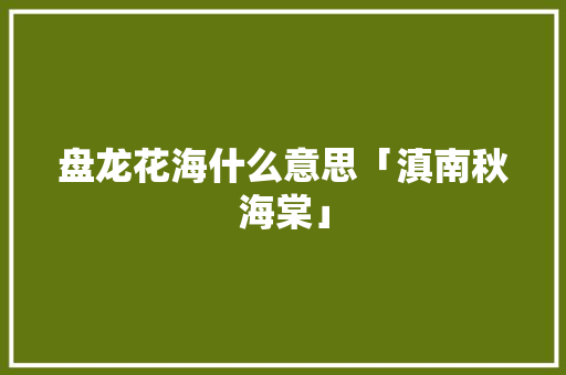 盘龙花海什么意思「滇南秋海棠」 盘龙花海什么意思「滇南秋海棠」 健康母婴