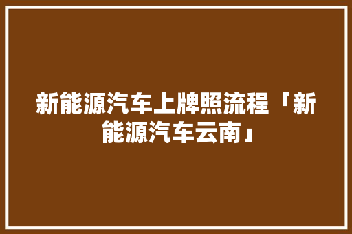 新能源汽车上牌照流程「新能源汽车云南」 新能源汽车上牌照流程「新能源汽车云南」 手机电脑