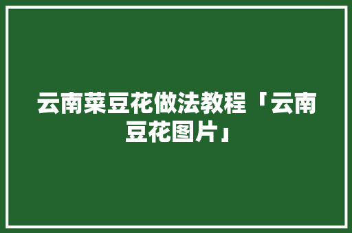 云南菜豆花做法教程「云南豆花图片」 云南菜豆花做法教程「云南豆花图片」 汽车常识