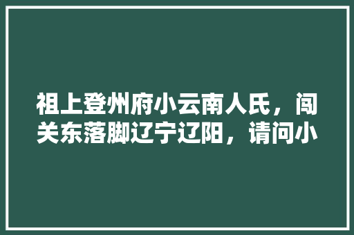 祖上登州府小云南人氏，闯关东落脚辽宁辽阳，请问小云南今在何处「辽阳到云南旅游攻略路线」 祖上登州府小云南人氏，闯关东落脚辽宁辽阳，请问小云南今在何处「辽阳到云南旅游攻略路线」 手机电脑