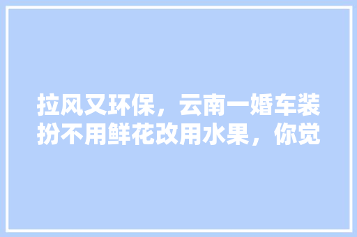 拉风又环保，云南一婚车装扮不用鲜花改用水果，你觉得这创意怎么样「泰州到云南旅游攻略图片」 拉风又环保，云南一婚车装扮不用鲜花改用水果，你觉得这创意怎么样「泰州到云南旅游攻略图片」 教育法律